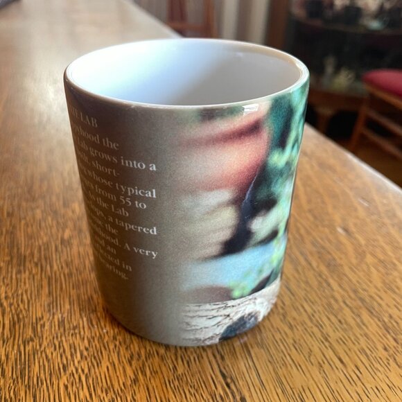 Chocolate Lab Coffee Cup Mug made in Thailand for Xpres Corp - Picture 2 of 5